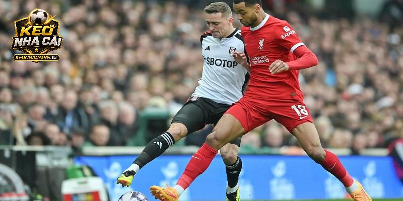 Nhận định Liverpool vs Fulham Nhận định Liverpool vs Fulham