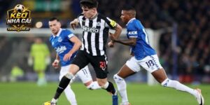 Soi kèo Newcastle vs Everton
